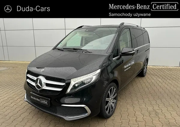 wielkopolskie Mercedes-Benz Klasa V cena 295077 przebieg: 84676, rok produkcji 2019 z Działoszyce